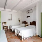 Saponara