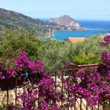 Saponara チェファル